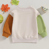 2023-07-21 Lioraitiin 6M-4T Kids Boys Sweatshirt Long Sleeve