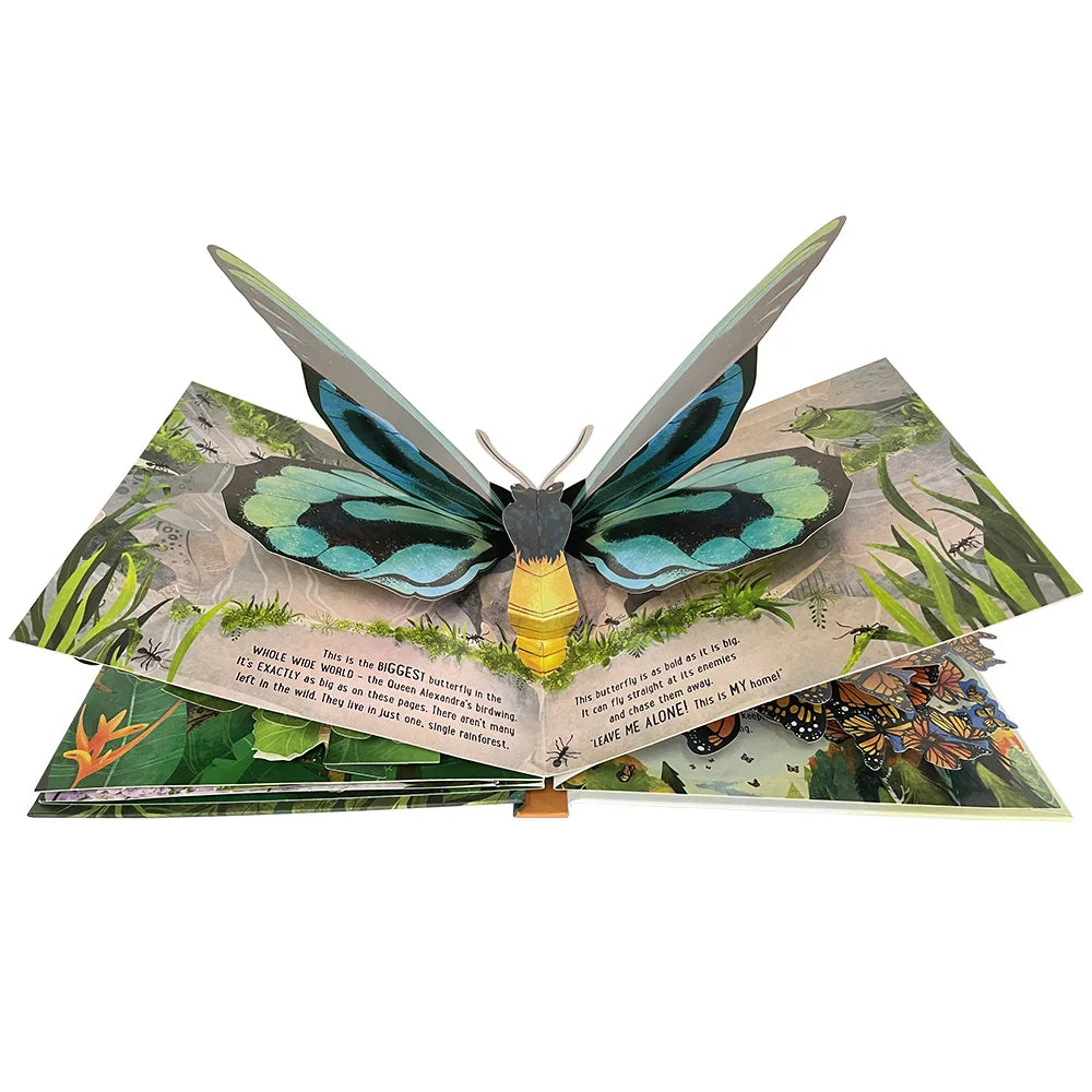 Usborne Pop Up Butterflies English 3D Flap Picture