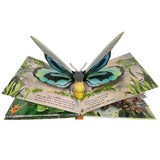 Usborne Pop Up Butterflies English 3D Flap Picture