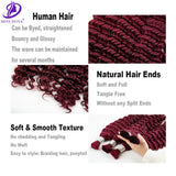 Burgundy Human Hair Extension Deep Curly Virgin Human