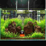 4 Pcs Fish Tank Coral Support Frag Rack