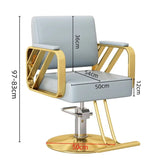 Gold Salon Beauty Barber Chair Luxury Personalized Lifter