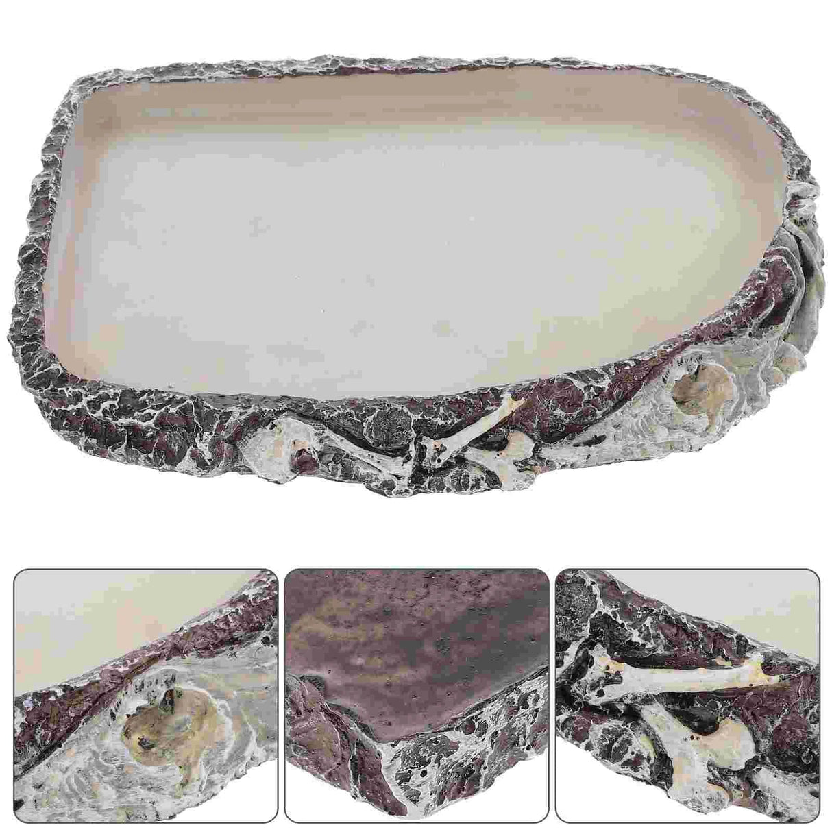 Lizard Snake Water Basin Multi-function Food Dispenser Terrarium