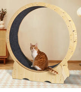Interactive Cat Running Wheel for Indoor Exercise and