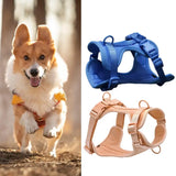 Chest Harness Leash Micro Elastic Easy to Clean