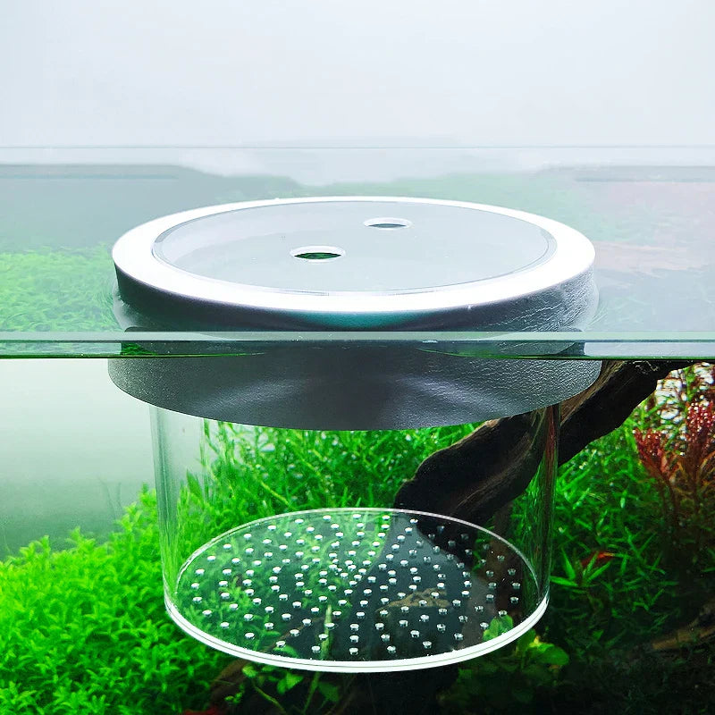 Acrylic Fish Tank Incubator Aquarium Breeder Suspended Fish