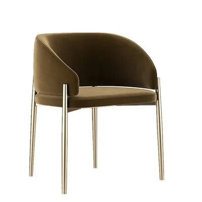 Modern Nordic Dining Chairs Luxury Metal Ergonomic Hotel