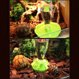 Water Bowl for Bearded-Dragons Lizards Geckos for Terrarium