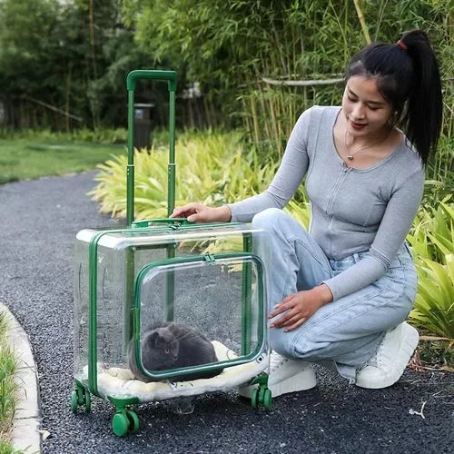 Stroller Kitten Cat Carriers Crate Backpack Transporter Cat