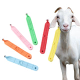 20 Pcs Sheep Ear Tag Poultry Farm Animal
