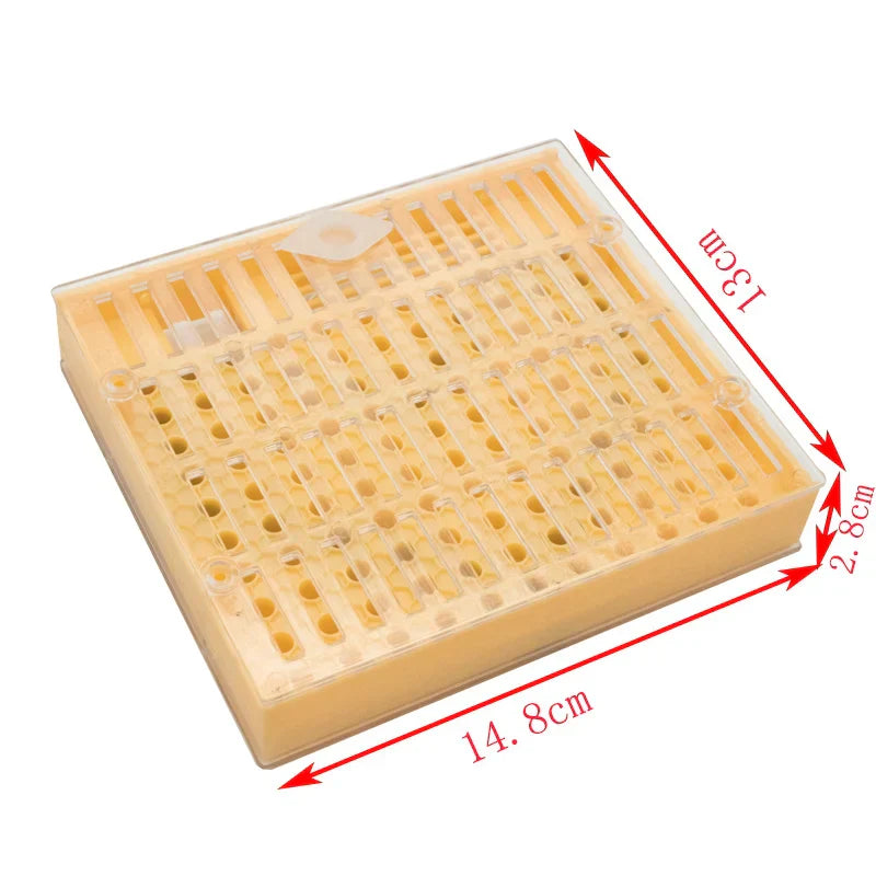1SET Apiculture Kit Nicot Queen Bee Rearing Plastic
