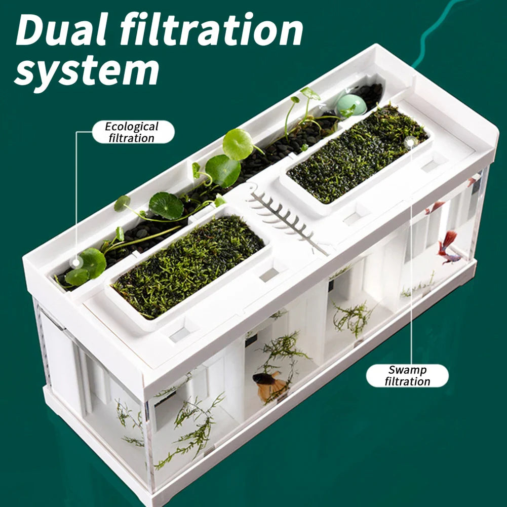 Mini Aquarium With Filter LED Light Fish Tank