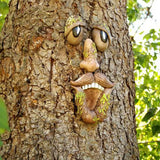 Bark Ghost Face Facial Features Old Man Tree