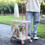 Stroller Kitten Cat Carriers Crate Backpack Transporter Cat