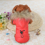 Dog Winter Coat Windproof Small Dog Hoodie Jacket