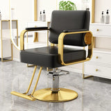 Gold Salon Beauty Barber Chair Luxury Personalized Lifter