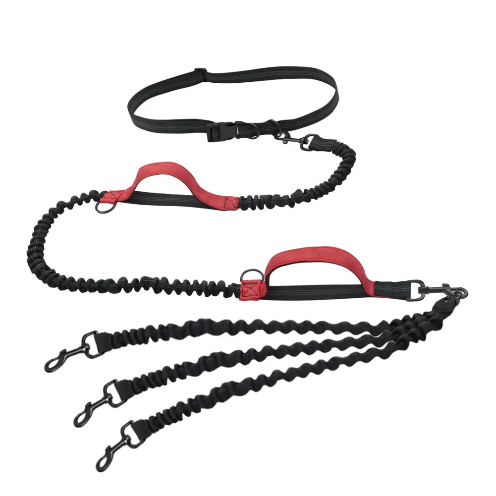 Dog Leash Hands-free Leash Suitable for Pets Running
