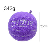 25CM Offcourt Basketball Pillow Anime Plush Toy Plush