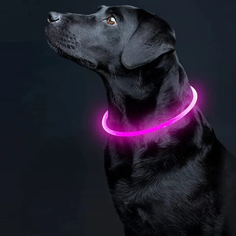 Led Usb Rechargeable Dog Collars Pet Luminous Collar
