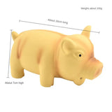 Cute Dog Chew Toys Rubber Sound Pig Grunting