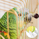 12pcs Birds Food Holder Pet Parrot Feeding Fruit