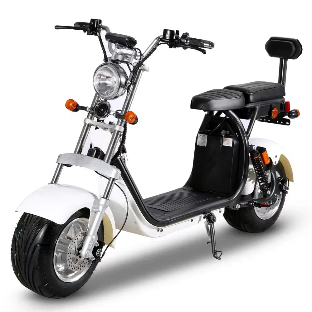 EEC COC electric bike Two wheel electric citycoco