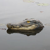 Crocodile Head Courtyard Pond Floating Animal Ornaments Park