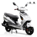 ZL Licensed Motorcycle Fast Eagle 125cc Scooter Fuel