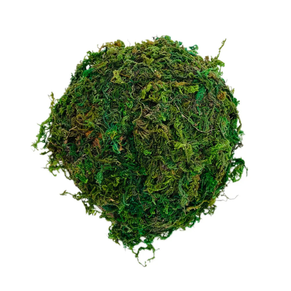 Reptile Hideout House Terrarium Tank Hamster Shelter Tortoise