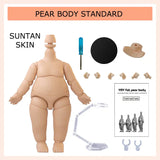 Movable Joint Ymy Doll Fat Animal Body Cat