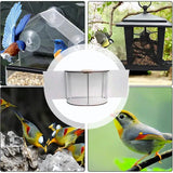 New Indoor Window Bird Feeder 180 degree Panoramic