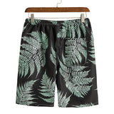 Stylish Men's Shorts Free Shipping Fashion Beach Board