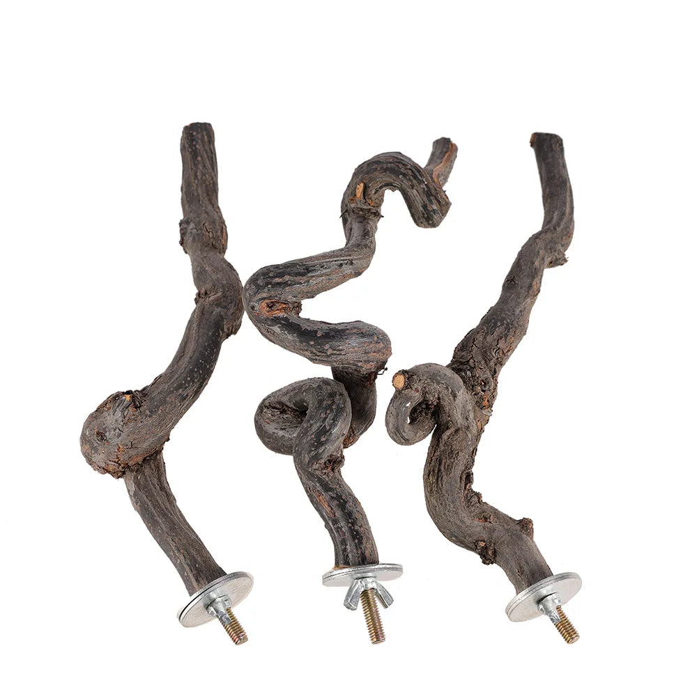 Pet Parrot Bird Standing Stick Grape Wood Pole