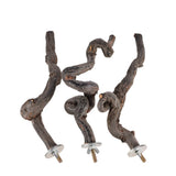 Pet Parrot Bird Standing Stick Grape Wood Pole
