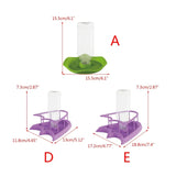 Water Bowl for Bearded-Dragons Lizards Geckos for Terrarium