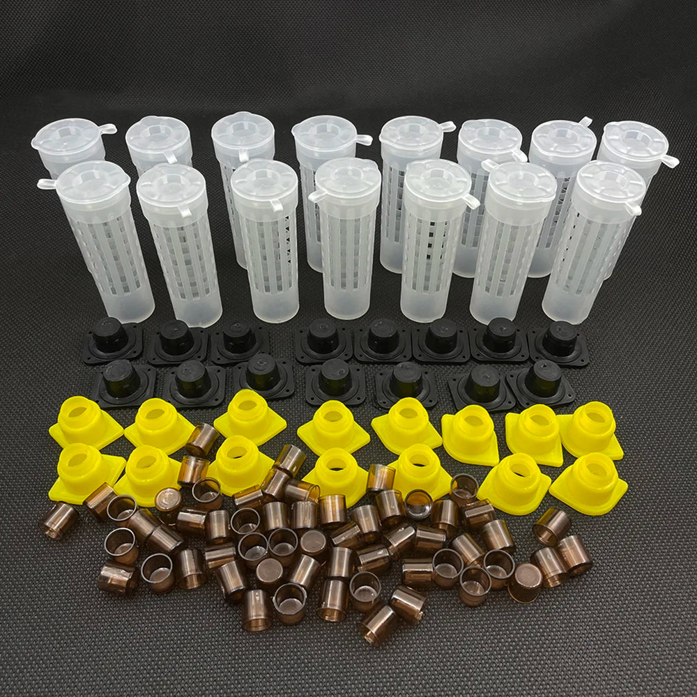 1Set Virgin Queen Rearing Kit Plastic Cage Capping