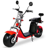 EEC COC electric bike Two wheel electric citycoco