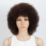 Peruvian Human Hair Short Sassy Human Hair Wigs