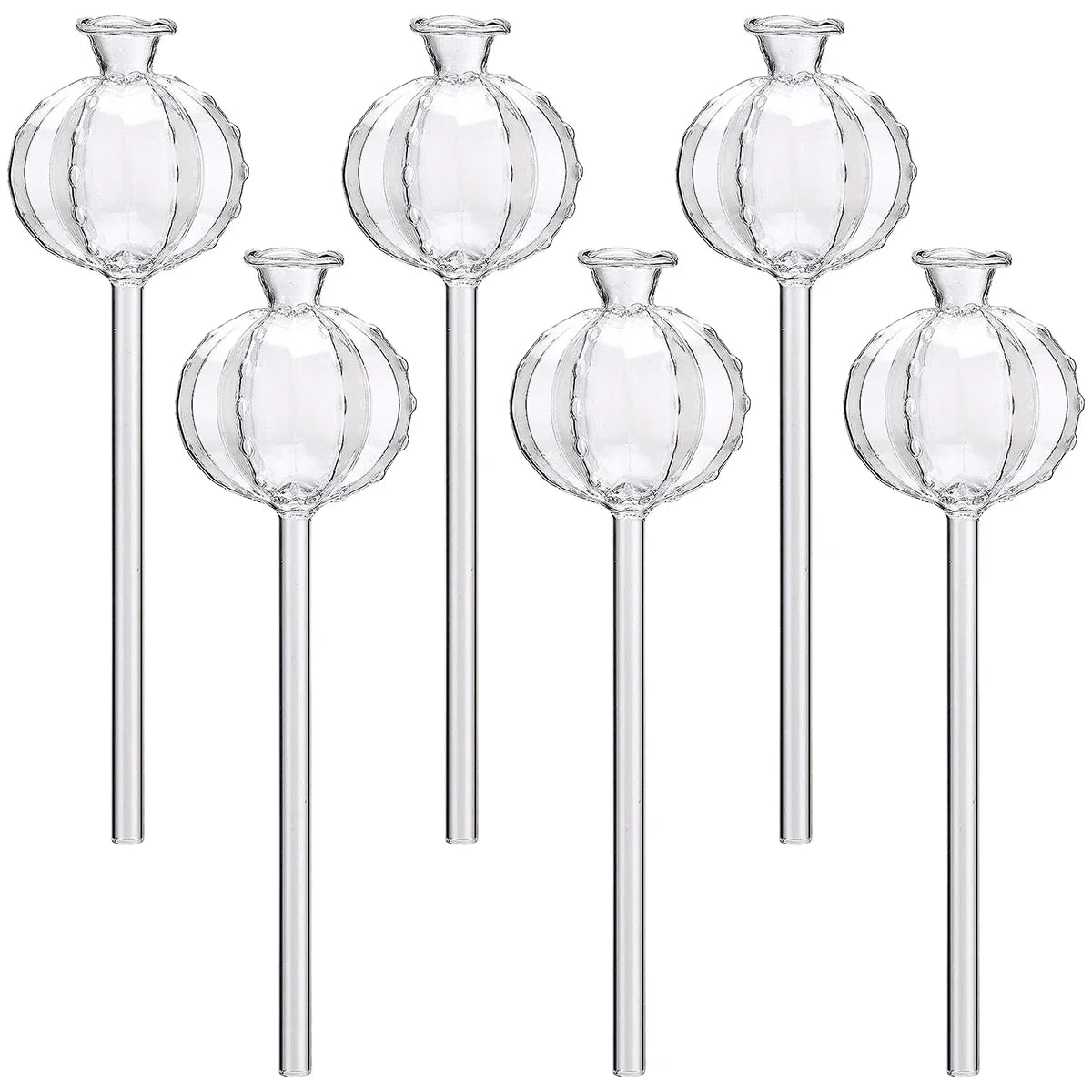 3/6Pcs Plant Self Watering Globes Automatic Plant Water