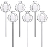 3/6Pcs Plant Self Watering Globes Automatic Plant Water