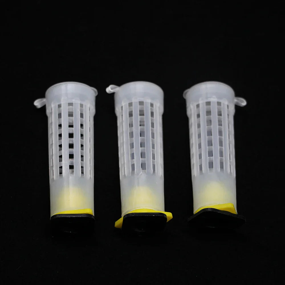 1Set Virgin Queen Rearing Kit Plastic Cage Capping