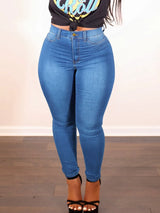 LW Basic Plus Size High Waist Stretchy Skinny