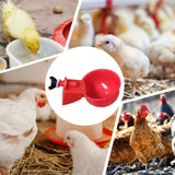 6Pcs Poultry Drinking Bowl Feeder Automatic Chicken Drinker
