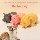 Cute Dog Chew Toys Rubber Sound Pig Grunting