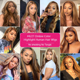 13x6 Highlight Ombre Straight Lace Front Human Hair