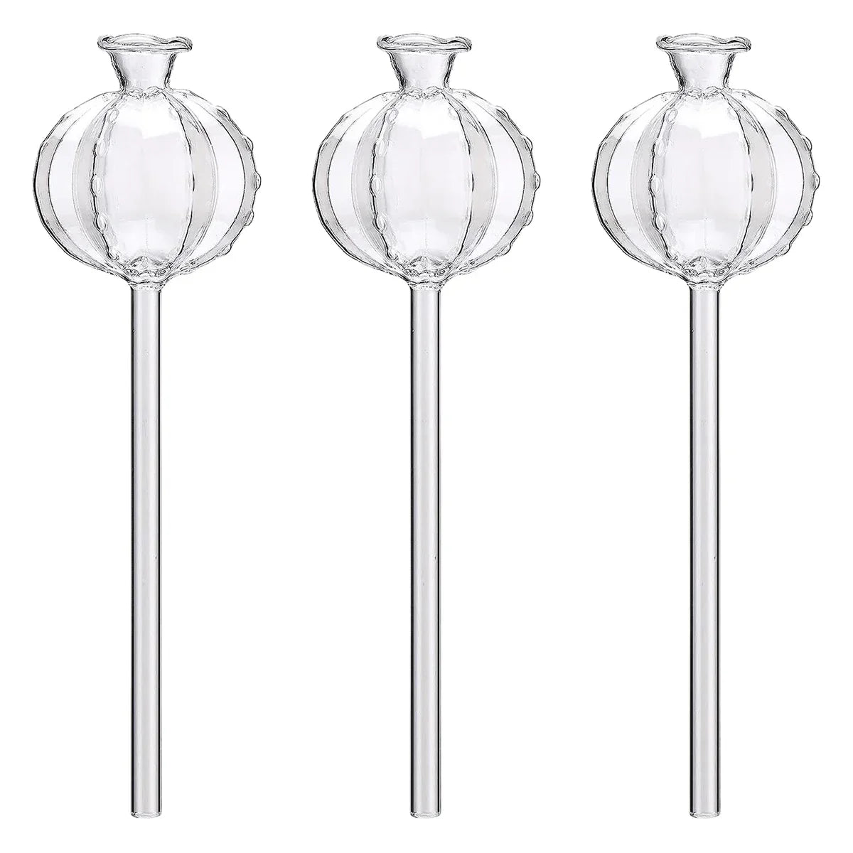 3/6Pcs Plant Self Watering Globes Automatic Plant Water
