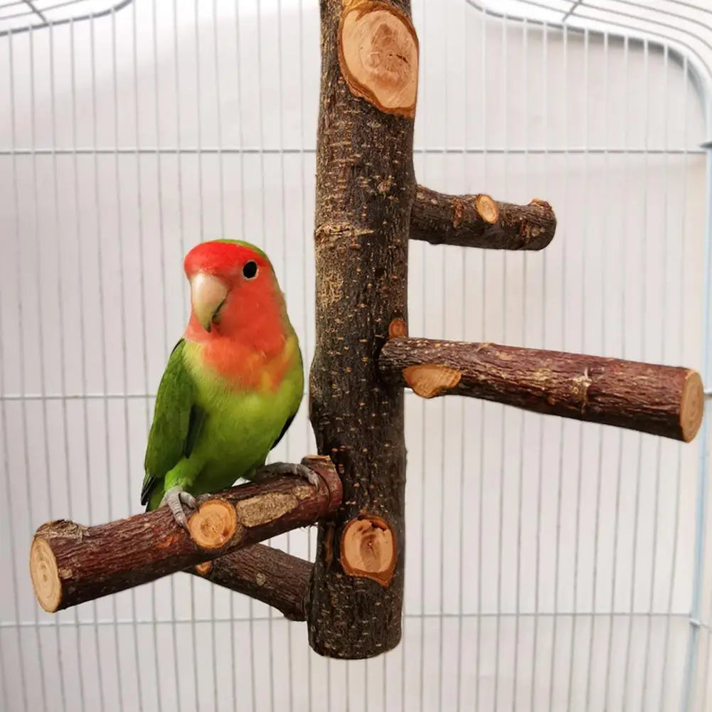 Pet Parrot Bird Standing Stick Wood Pole Bird