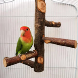 Pet Parrot Bird Standing Stick Wood Pole Bird