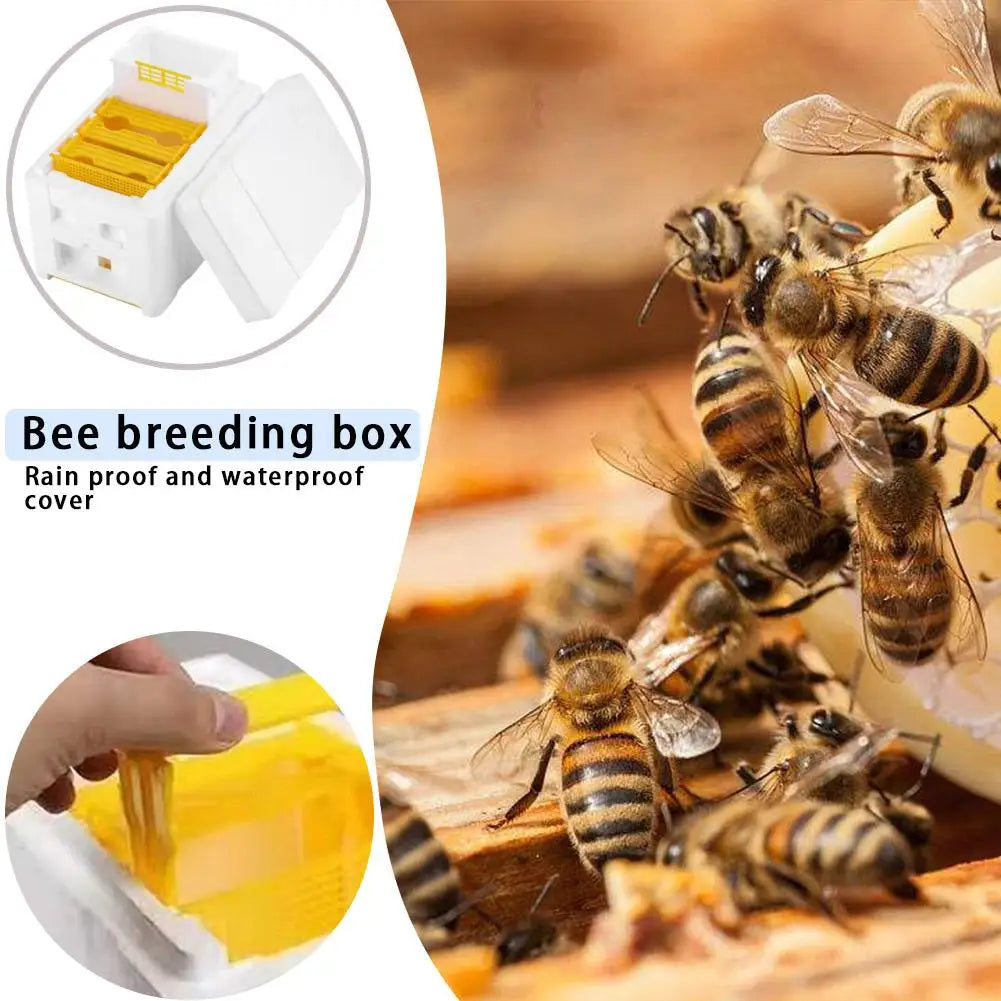 MultiFunction Beehive Beekeeping King Box Foam Home Bee
