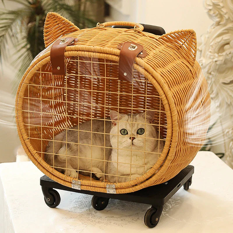Manufacturer Direct Selling Large Space Pet Travel Carrier